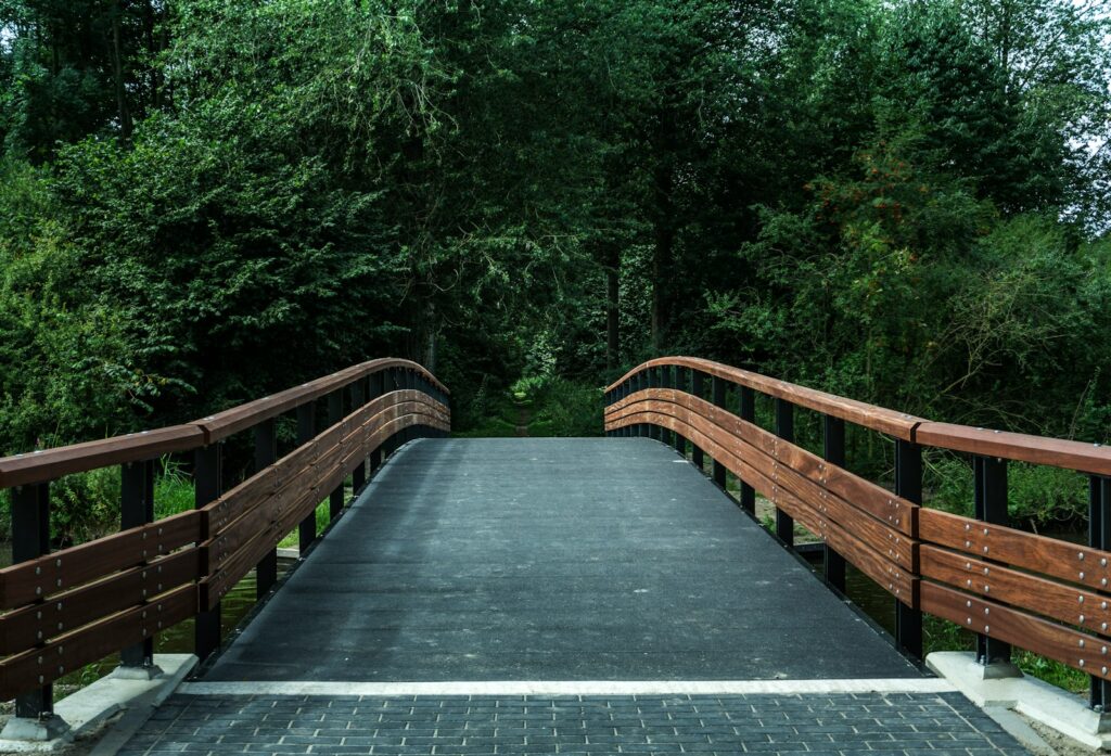 brown and black bridge near trees
